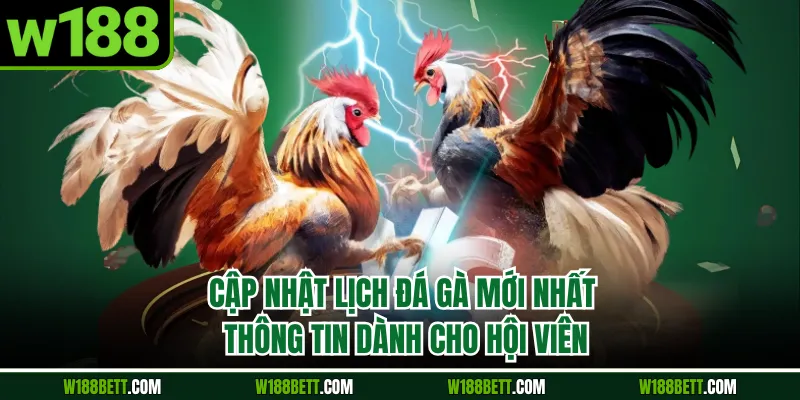 Cập Nhật Lịch Đá Gà Mới Nhất - Thông Tin Dành Cho Hội Viên