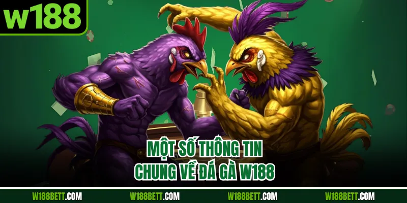 Một số thông tin chung về đá gà W188