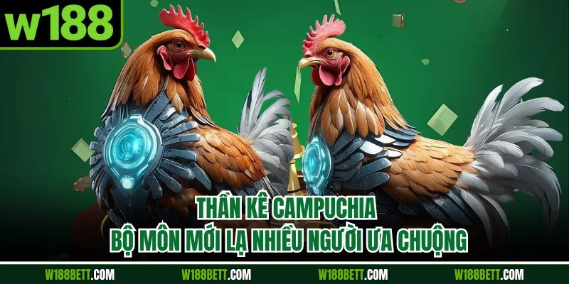 Thần Kê Campuchia - Bộ Môn Mới Lạ Nhiều Người Ưa Chuộng