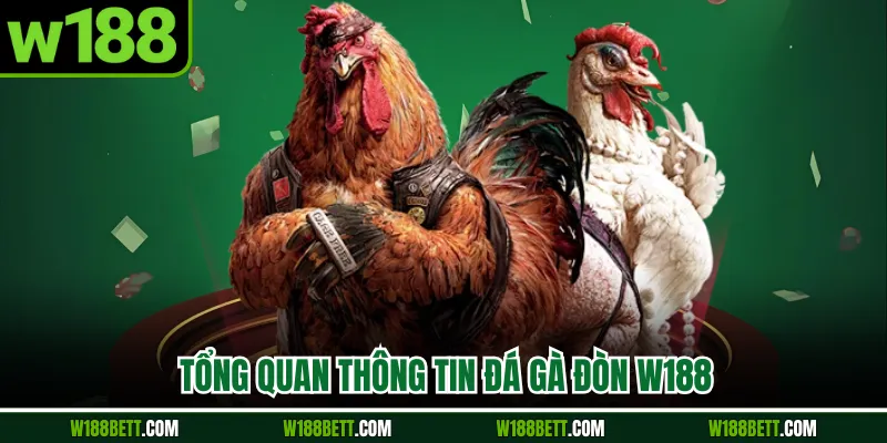 Tổng quan thông tin đá gà đòn W188